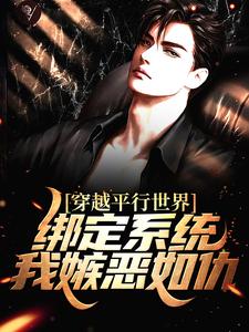穿越平行世界：绑定系统我嫉恶如仇小说阅读，穿越平行世界：绑定系统我嫉恶如仇完结版