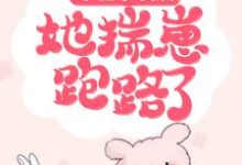 东窗事发后,她揣崽跑路了小说的免费电子版在哪里可以下载或阅读?-经典文学