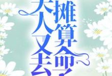 爷，夫人又去摆摊算命了这本小说怎么样？免费在线阅读试试-经典文学