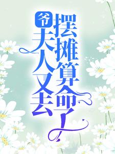 爷，夫人又去摆摊算命了这本小说怎么样？免费在线阅读试试