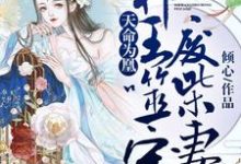 完结版《天命为凰：邪王噬宠废柴妻》在线免费阅读-经典文学