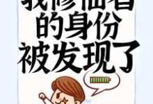 入赘后,我修仙者的身份被发现了主角叶寒小说完结版章节在线阅读-经典文学