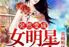 突然变成了女明星怎么办云慕萱苏哲陈括杨玉雪在线章节免费阅读-经典文学