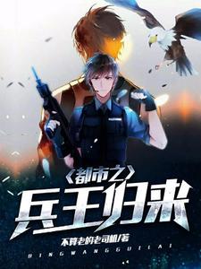 都市之兵王归来主角叶宸北堂静阿布小说完结版章节在线阅读