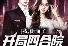 李爱党的故事在哪本书里?免费阅读我,街溜子,开局四合院全员无好人-经典文学