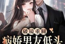 破镜重圆:病娇男友低头诱哄小祖宗小说全文哪里可以免费看?-经典文学