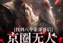 在线搜索叶小汐的完整小说，免费阅读找到八个亲哥哥后，京圈无人敢惹她-经典文学