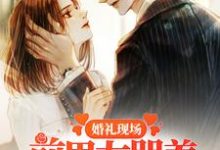 小说《婚礼现场,前男友哭着求我回头》章节免费阅读-经典文学
