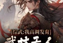 主角宁远黄蓉小说综武：我高调发育，武林无人能敌免费阅读-经典文学