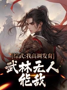 主角宁远黄蓉小说综武：我高调发育，武林无人能敌免费阅读