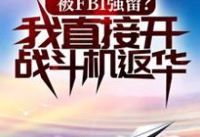 完结版《被FBI强留？我直接开战斗机返华！》章节目录在线阅读-经典文学