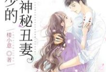 顶级暖婚：战少的神秘丑妻小说无弹窗阅读的网站推荐-经典文学