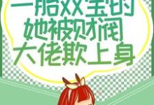 四年后,一胎双宝的她被财阀大佬欺上身这本小说在哪里可以看?哪里有免费试读章节?-经典文学
