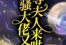 沈月瑶鹤云行的完整故事在哪里？读闷骚大佬又在等夫人来哄小说-经典文学