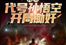 特工:代号孙悟空,开局锄奸免费阅读,特工:代号孙悟空,开局锄奸方平-经典文学