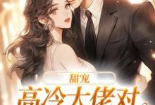 甜宠:高冷大佬对娇娇犯花痴了权今舟海泉小说免费阅读-经典文学