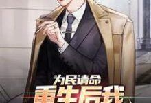 为民请命,重生后我走上官场巅峰主角叶正刚许晓情小说完结版章节在线阅读-经典文学