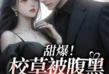 甜爆!校草被腹黑少女拿捏了章节免费在线阅读,雪绒江静辰完结版-经典文学