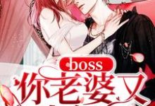 想读苏柒柒宫司夜唐小米明澈寒的故事,哪里可以免费找到boss你老婆又生气了?-经典文学
