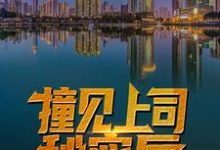 秦天柱林雨琪为主角的小说撞见上司秘密后，他平步青云了在线阅读-经典文学