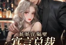 娇娇住隔壁,寡言总裁笑不拢嘴小说有没有完结版在线?-经典文学