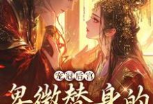 主人公叫裴璎秦峥的小说哪里免费看-经典文学