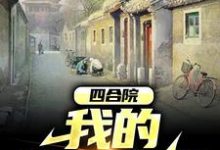四合院:我的悠闲生活主角林天小说完结版章节在线阅读-经典文学