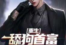 重生:舔狗首富杜绝恋爱脑小说的免费阅读版本在哪里可以找到?-经典文学