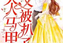 《肆爷,您夫人马甲又被扒了》小说大结局免费试读 戚玥傅肆沈修墨尘小说-经典文学