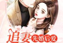 小说《先婚后爱:追妻全程候命》在线章节阅读-经典文学