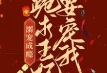 男女主人公叫石静娴胤礽的小说免费资源-经典文学