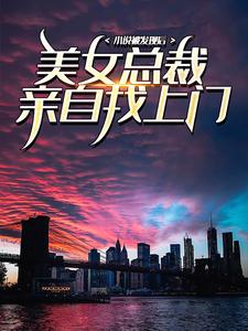 小说《小说被发现后，美女总裁亲自找上门》章节免费阅读