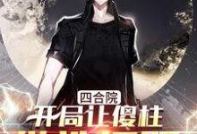 小说《四合院:开局让傻柱做选择题》章节免费阅读-经典文学