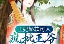 王妃娇软可人，疯批王爷日日求负责小说免费资源，王妃娇软可人，疯批王爷日日求负责在线阅读-经典文学