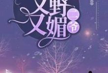 哪里可以免费读到沈如烟容思寒的完整故事？寻找二爷，夫人她又野又媚-经典文学