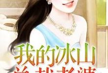小说《我的冰山总裁老婆》在线章节阅读-经典文学