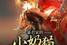 徐知夏聂千城小说叫什么(暴君家的小奶猫恃宠而骄免费阅读)-经典文学