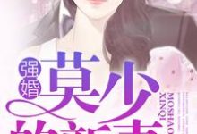强婚:莫少的新妻沈南乔莫北丞小说在线章节免费阅读-经典文学