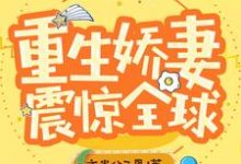 林初瞳陆妄年程延为主角的小说好看吗？求重生娇妻震惊全球免费试读-经典文学