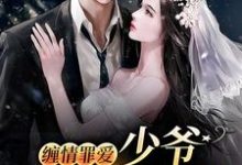 缠情罪爱：少爷，夫人逃跑了免费阅读，缠情罪爱：少爷，夫人逃跑了章节在线阅读-经典文学