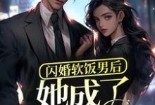完结版《闪婚软饭男后,她成了富太太?》在线免费阅读-经典文学