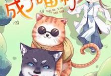 完结版《一不小心成了喵神》章节阅读-经典文学