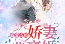 霸爱成瘾：娇妻要离婚最新章节，霸爱成瘾：娇妻要离婚免费阅读-经典文学