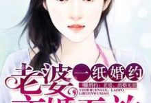 一纸婚约:老婆,离婚无效小说的免费阅读版本在哪里可以找到?-经典文学