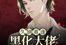 久别重逢:黑化大佬人设崩塌了主角沈戾纪舟野小说完结版章节在线阅读-经典文学