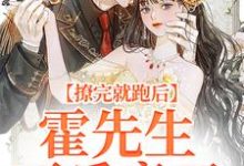撩完就跑后，霍先生不乐意了小说有没有完整的免费版本在线阅读？-经典文学