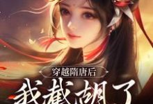 已完结小说《穿越隋唐后，我截胡了观音婢》章节免费阅读-经典文学