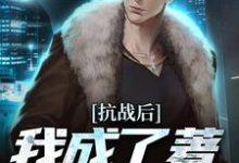 《抗战后，我成了著名特种兵》全集免费在线阅读（王峰王平安）-经典文学