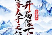 免费在线阅读穿成皇孙，开局保下亲爹太子之位小说的正规网站有哪些？-经典文学