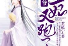完结版《王爷，王妃又跑了》免费阅读-经典文学